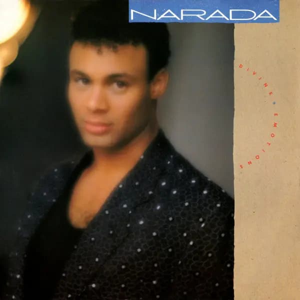 Okładka płyty Narada Michael Walden - Divine Emotions