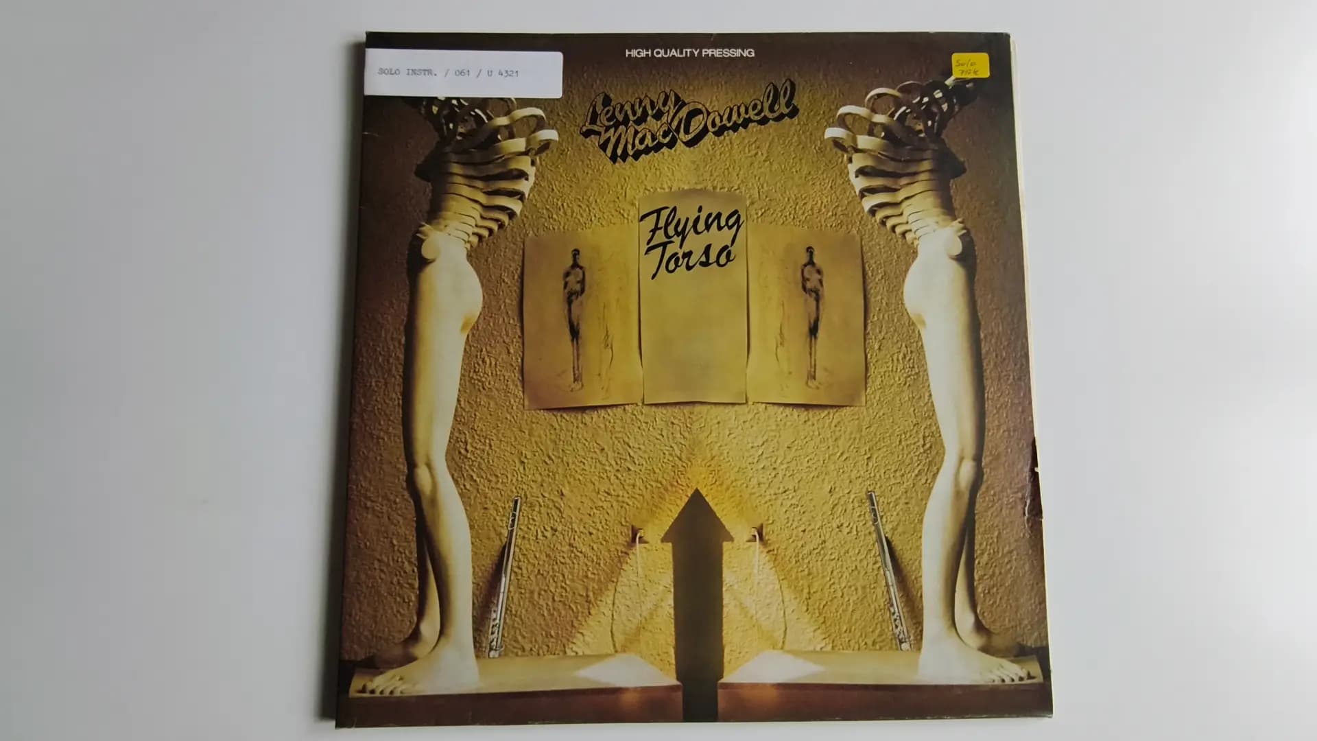Flying Torso - Lenny Mac Dowell