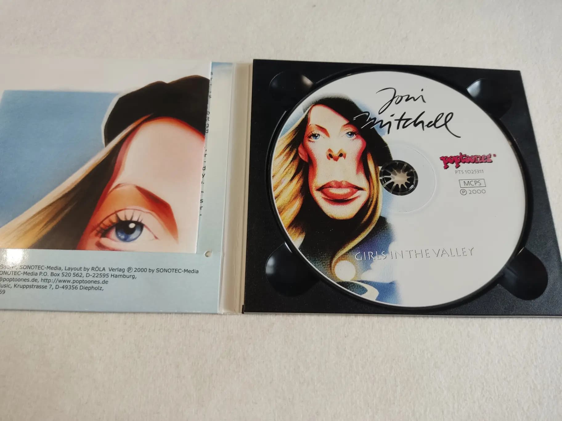 Główne zdjęcie - Joni Mitchell - Girls In The Valley