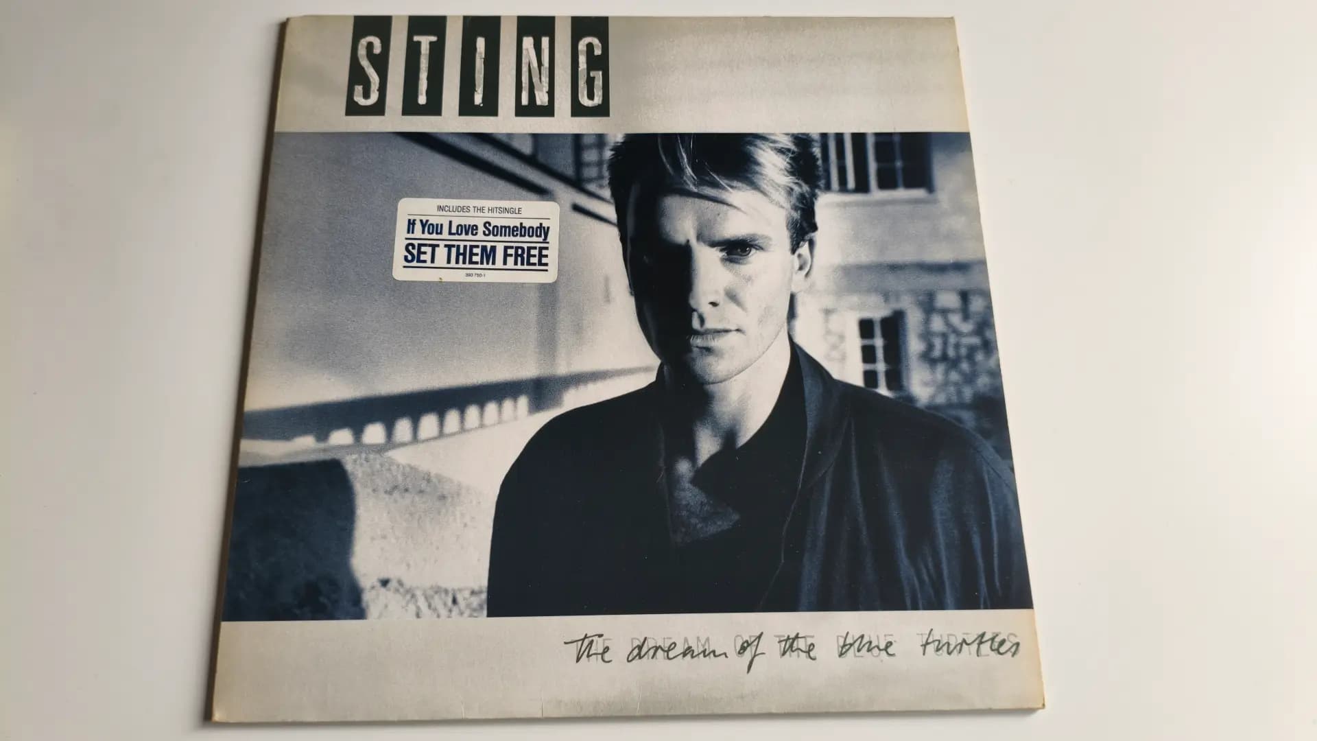 Okładka płyty Sting - The Dream Of The Blue Turtles