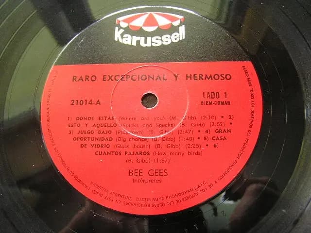 Główne zdjęcie - Bee Gees - Raro, Excepcional - Bee Gees - Raro, Excepcional