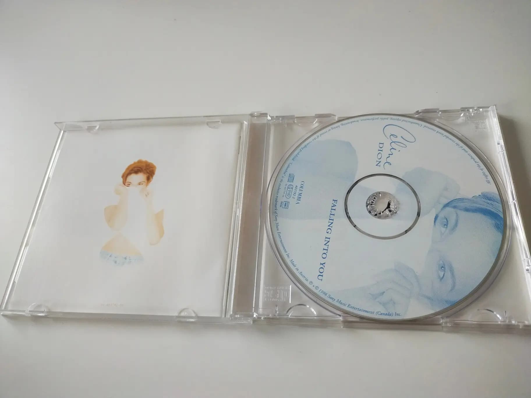Główne zdjęcie - Céline Dion - Falling Into You