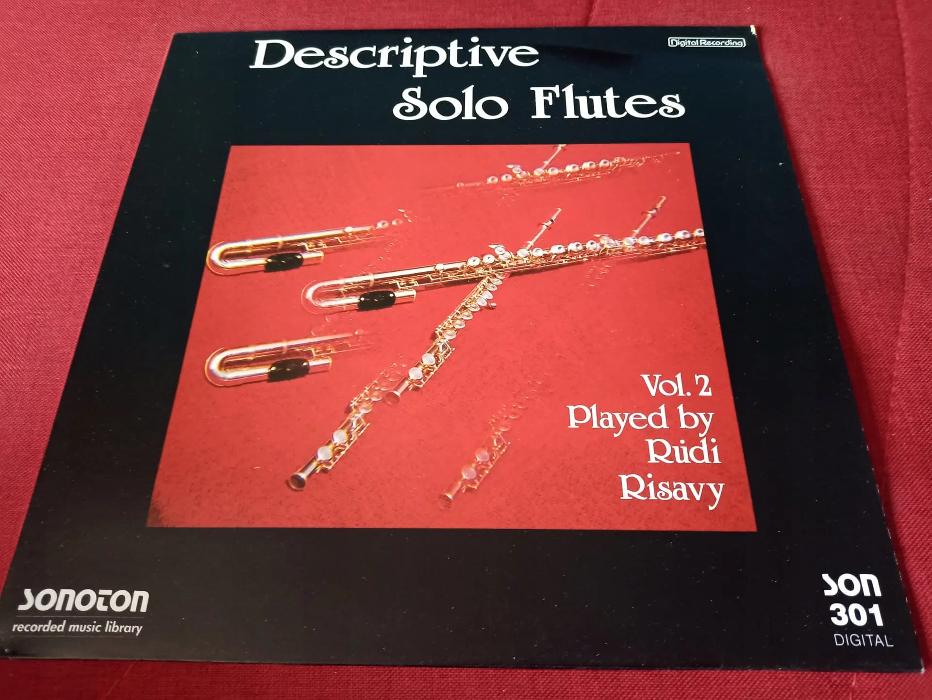 Główne zdjęcie - Rudi Risavy - Descriptive Solo Flutes Vol. 2