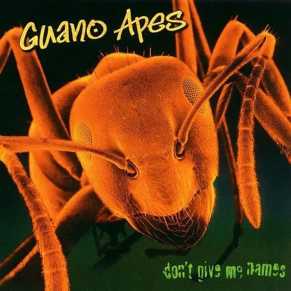 Okładka płyty Guano Apes - Don't Give Me Names