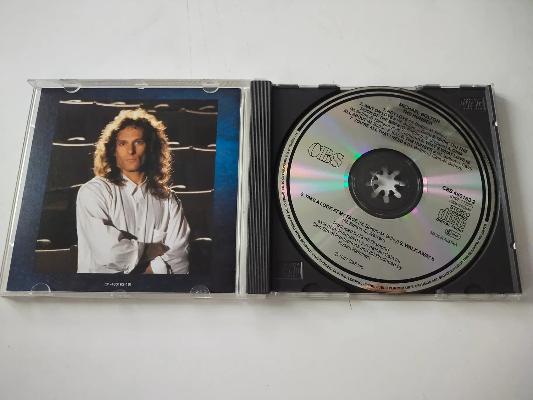 Główne zdjęcie - Michael Bolton - The Hunger