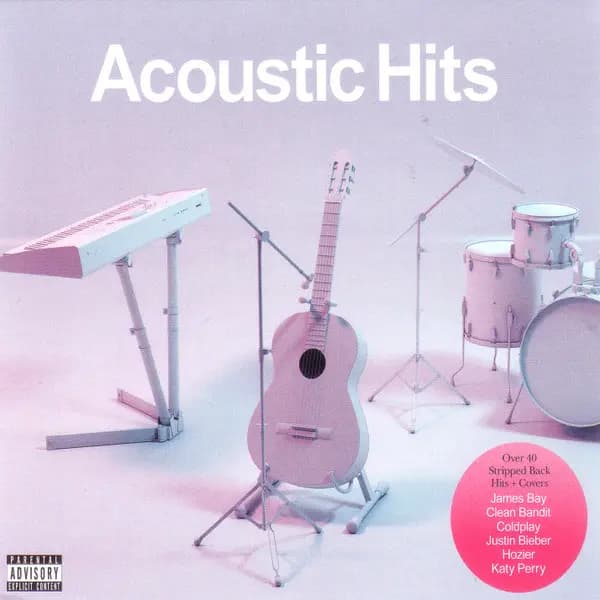 Główne zdjęcie - Various - Acoustic Hits