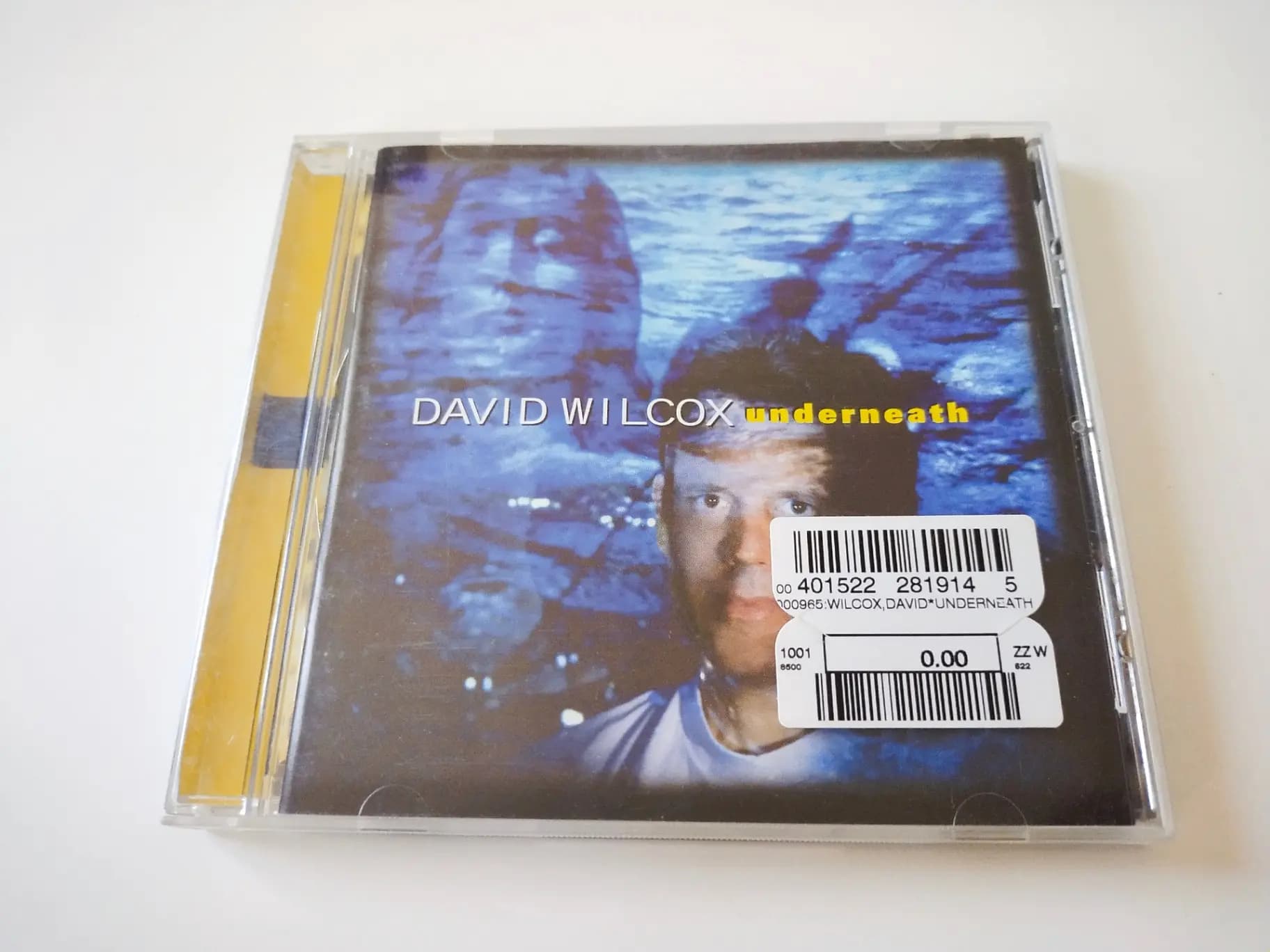 Główne zdjęcie - David Wilcox - Underneath