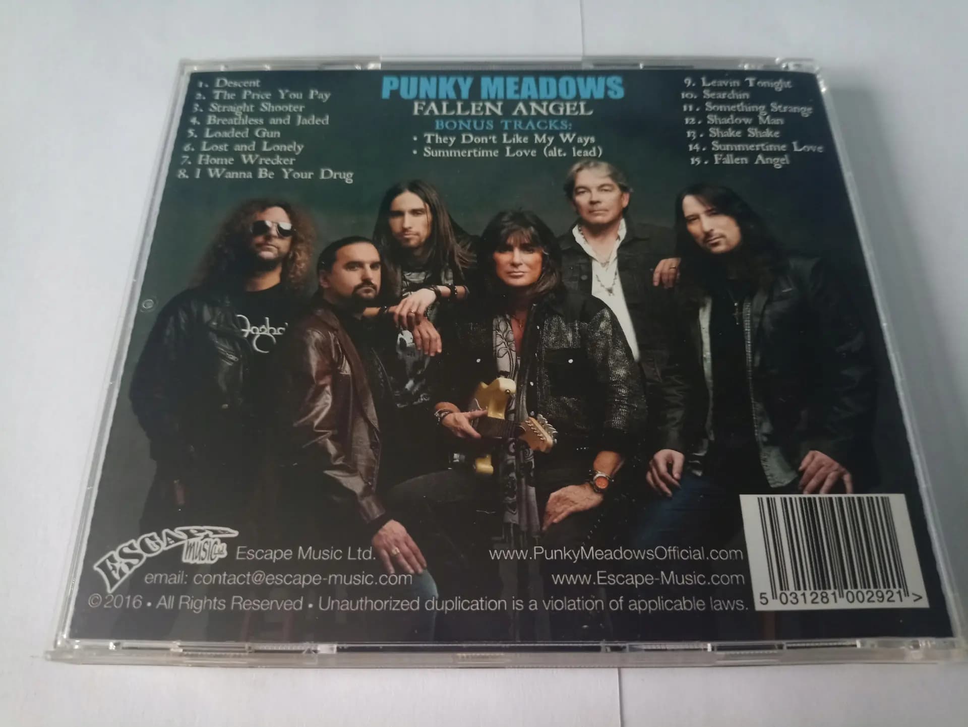 Główne zdjęcie - Punky Meadows - Fallen Angel
