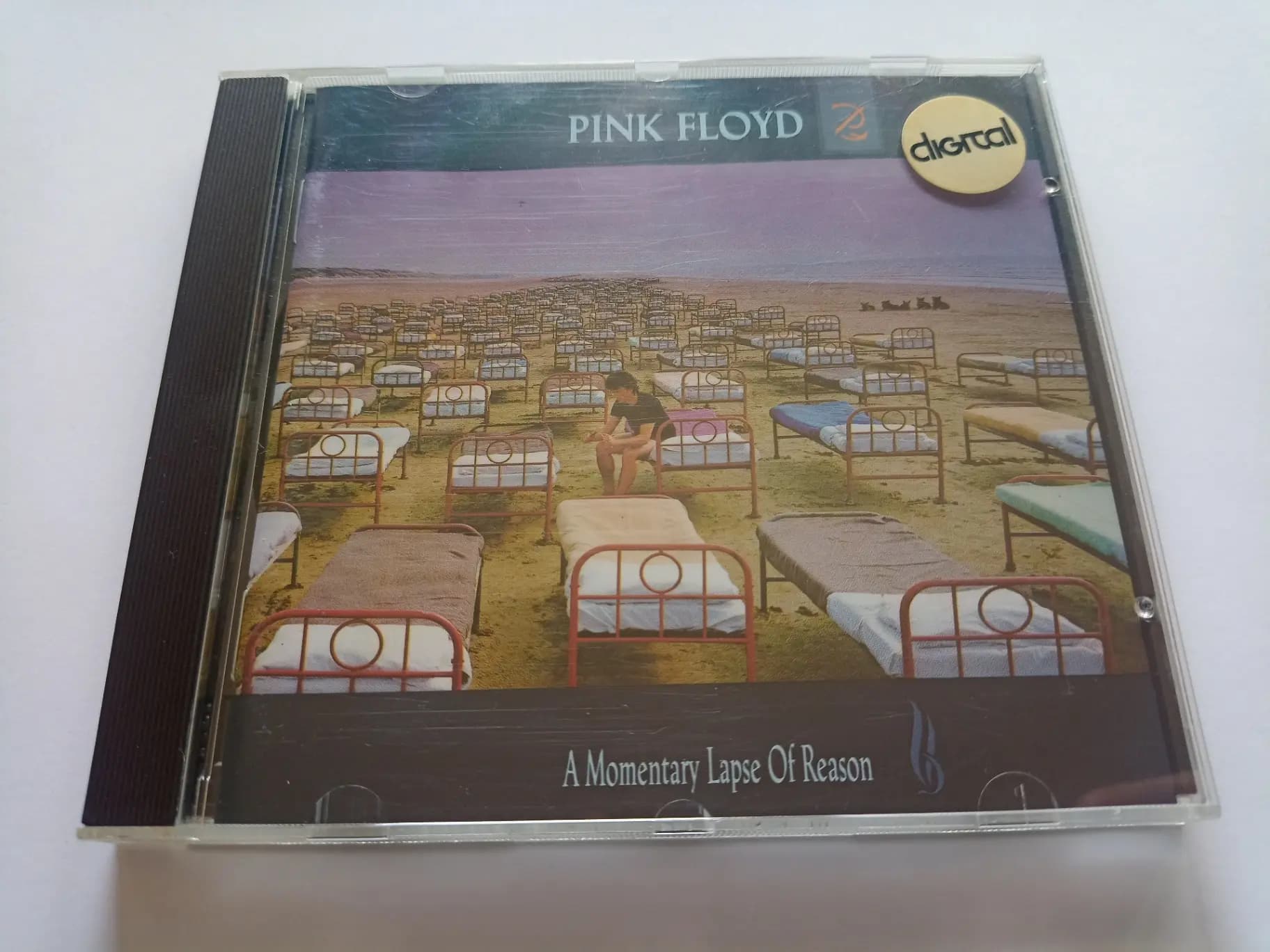 Główne zdjęcie - Pink Floyd - A Momentary Lapse Of Reason