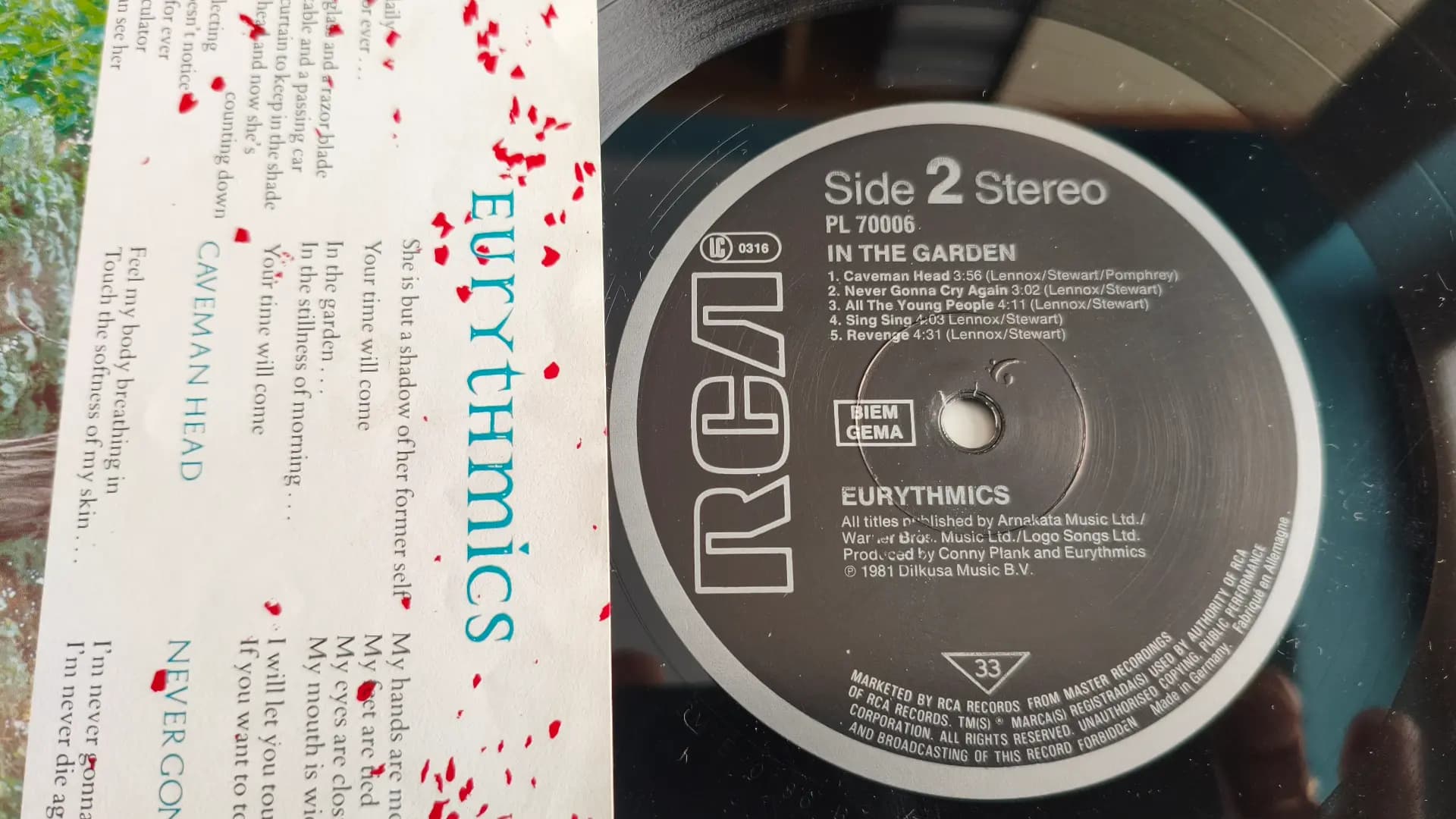 Główne zdjęcie - Eurythmics - In The Garden