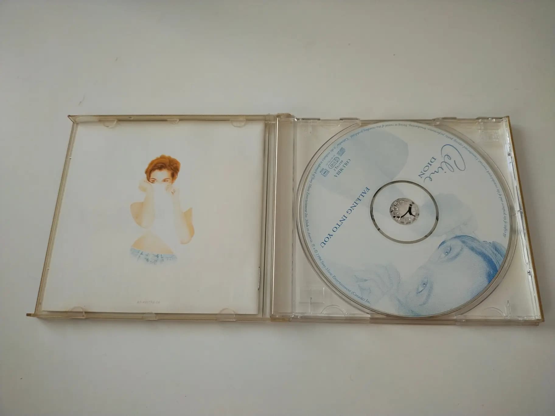 Główne zdjęcie - Céline Dion - Falling Into You