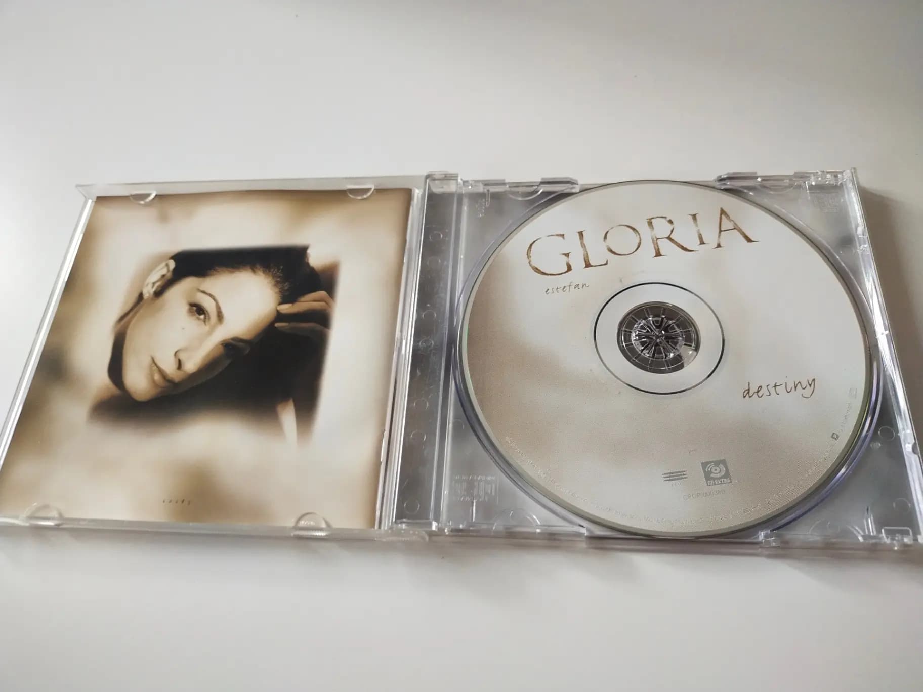 Główne zdjęcie - Gloria Estefan - Destiny